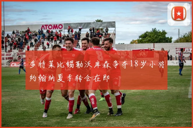 多特莱比锡勒沃库森争夺18岁小将约翰纳夏季转会在即